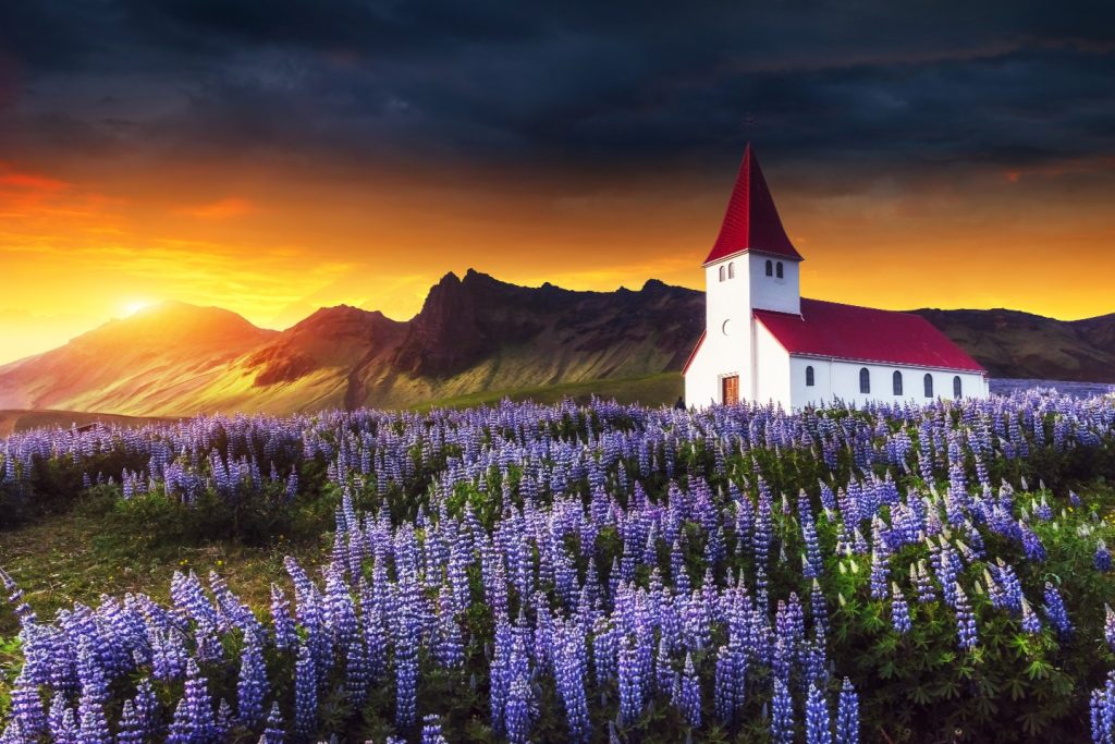 Iceland Northern Lights Hunt