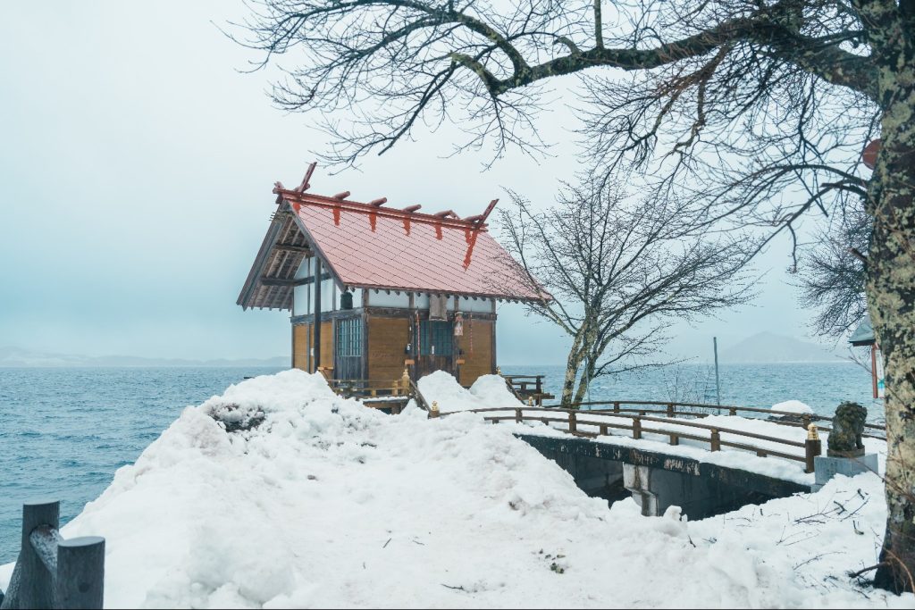 Japan Snow Monkey Hot Springs