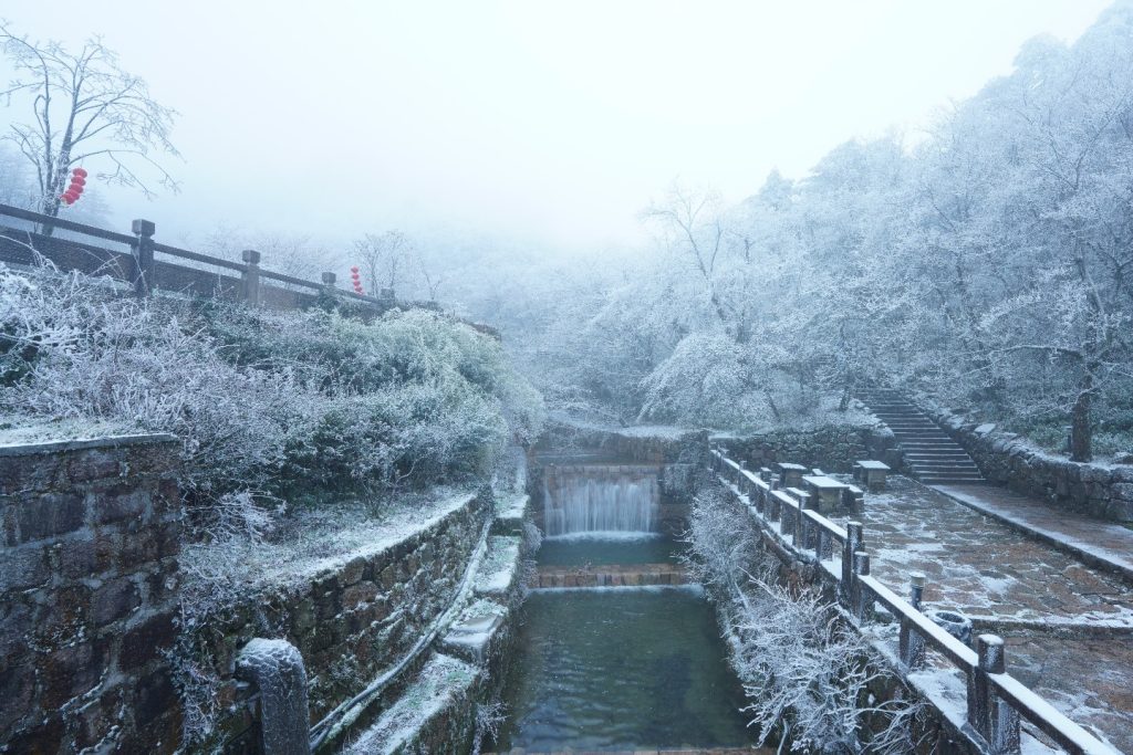 Japan Snow Monkey Hot Springs