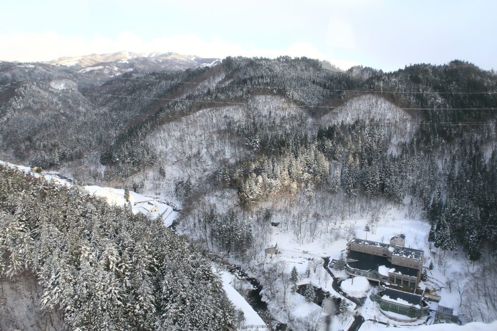 Japan Snow Monkey Hot Springs