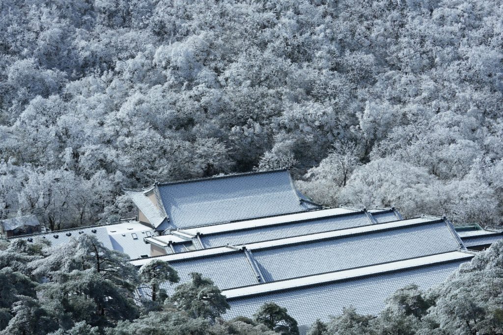 Japan Snow Monkey Hot Springs