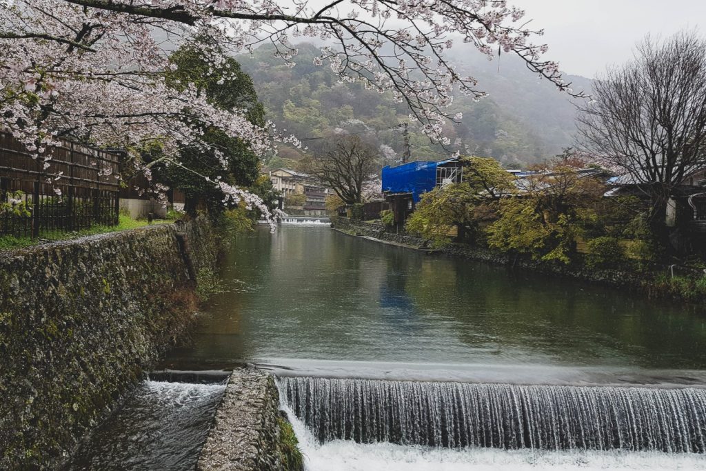 Japan Snow Monkey Hot Springs