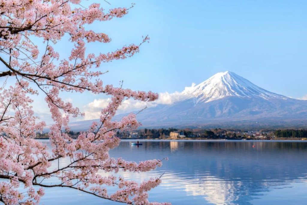 Japan Snow Monkey Hot Springs
