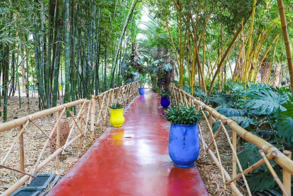 Marrakech Medina Exploration