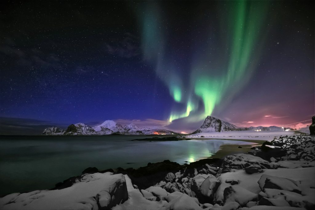 Norway Dog Sledding Expedition